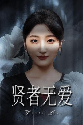 贤者无爱高清海报