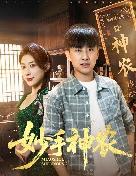 妙手神农高清海报