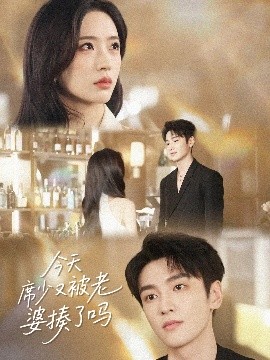 今天席少又被老婆揍了吗高清海报