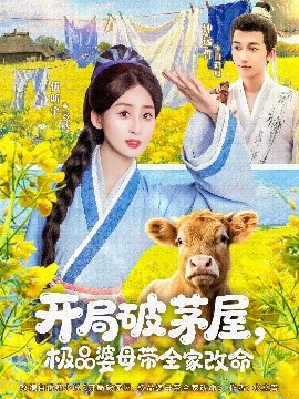 开局破茅屋极品婆母带全家改命高清海报