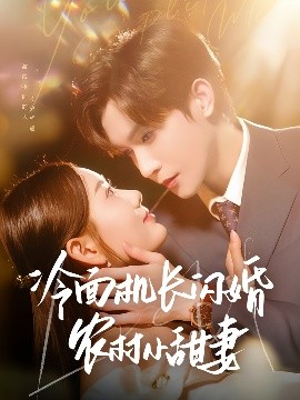 冷面机长闪婚农村小甜妻高清海报