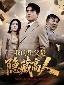 我的岳父是隐藏高人高清海报
