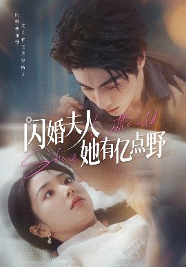 闪婚夫人她有亿点野高清海报