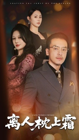 离人枕上霜高清海报