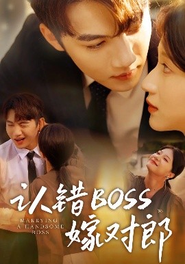 认错boss嫁对郎高清海报