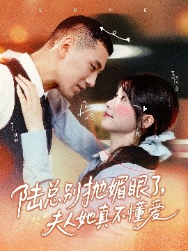 陆总别抛媚眼了夫人她真不懂爱高清海报