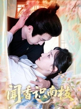 闻香识南枝高清海报