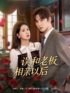 误和老板相亲以后高清海报