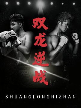 双龙逆战＆拳王之父子双龙高清海报