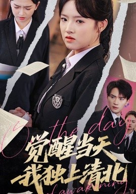 觉醒当天我独上清北高清海报