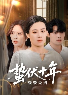 蛰伏十年婆婆亮剑高清海报