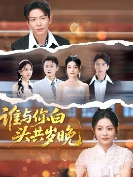 谁与你白头共岁晚高清海报