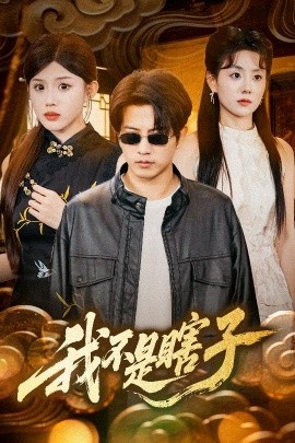 我不是瞎子高清海报