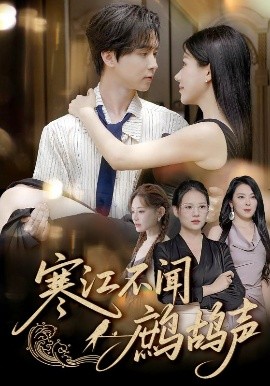 寒江不闻鹧鸪声高清海报