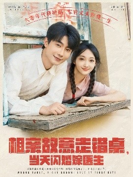 相亲故意走错桌，当天闪婚嫁医生高清海报