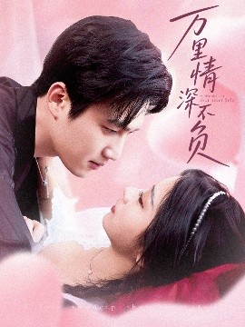 万里情深不负高清海报