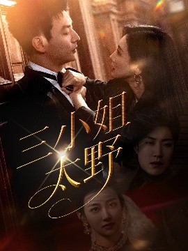 三小姐太野高清海报