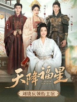 天降福星高清海报
