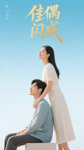 佳偶闪成&假婚真爱高清海报