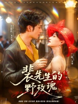 2021国产剧《裴先生的野玫瑰》迅雷下载_中文完整版_百度云网盘720P|1080P资源