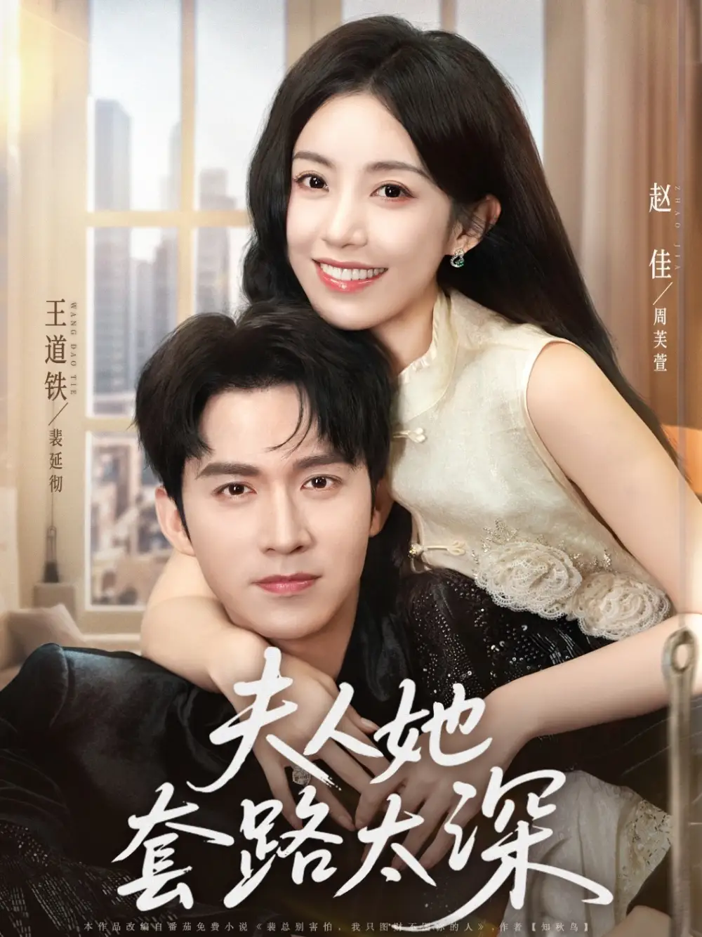 2021国产剧《夫人她套路太深》迅雷下载_中文完整版_百度云网盘720P|1080P资源