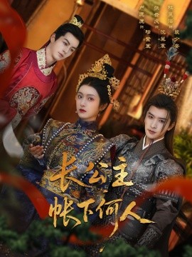 2021国产剧《长公主帐下何人》迅雷下载_中文完整版_百度云网盘720P|1080P资源