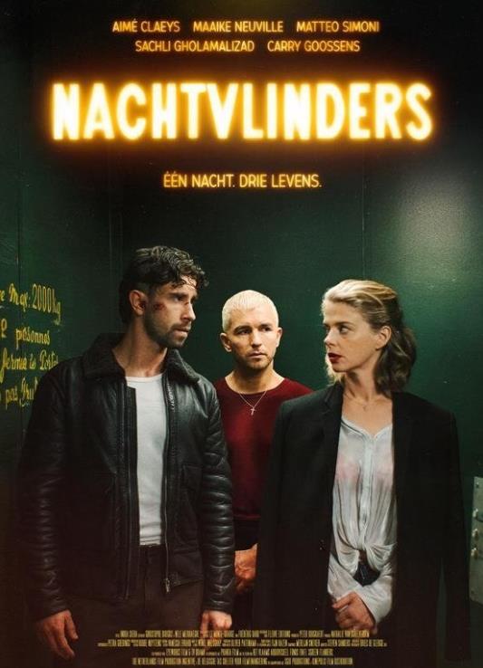 暗夜蝶影 在线观看