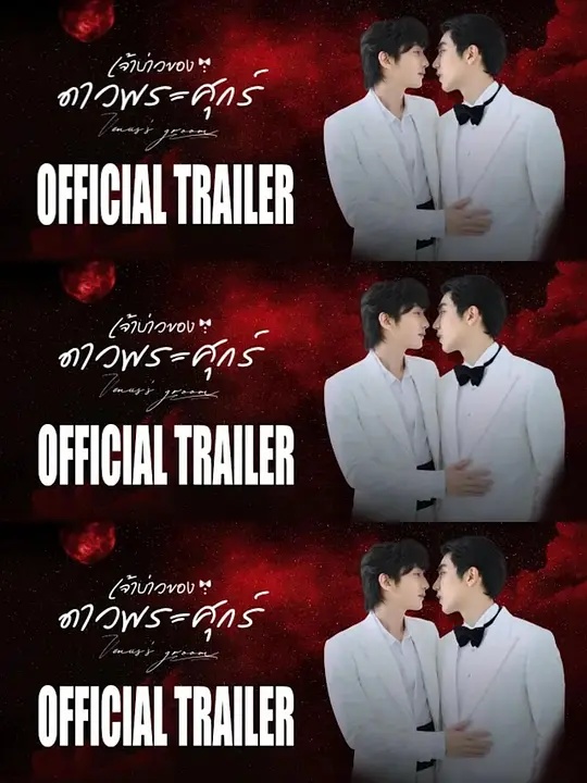 维纳斯的新郎封面图