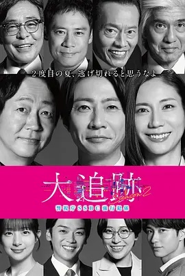 大追踪〜警视厅SSBC强行犯系〜 第2季