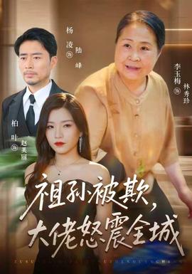 祖孙被欺，大佬怒震全城海报