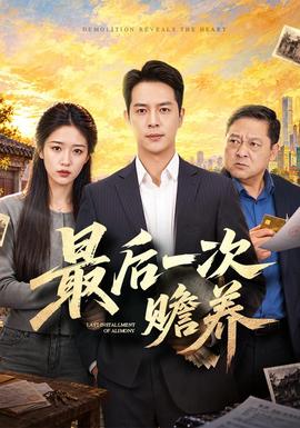 最后一次赡养封面