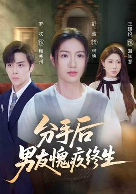 分手后男友愧疚终生封面