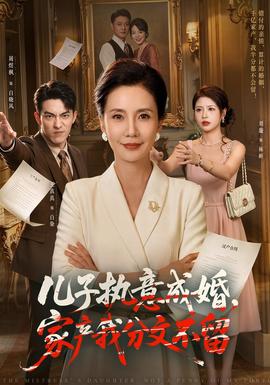 儿子执意成婚，家产我分文不留封面