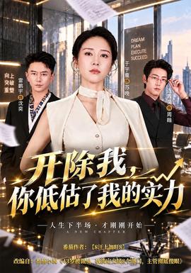 开除我，你低估了我的实力封面
